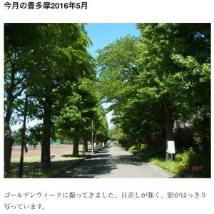 (４)今月の豊多摩2016年5月