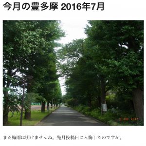 (４) 今月の豊多摩2016年7月